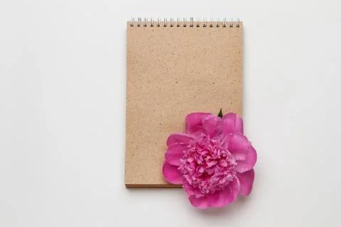 Minimal styled flat lay with peony blossom and kraft notebook on white Stock Photos