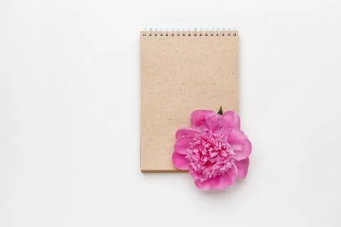 Minimal styled flat lay with peony blossom and kraft notebook Stock Photos