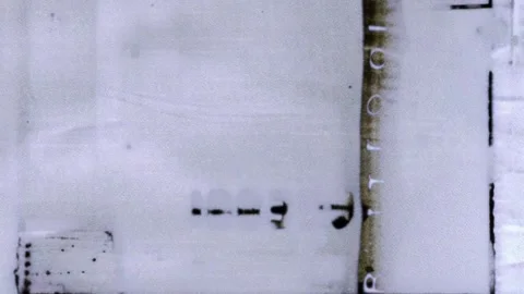 Minimal Stylized Grunge Texture Background Stock Footage 300990757