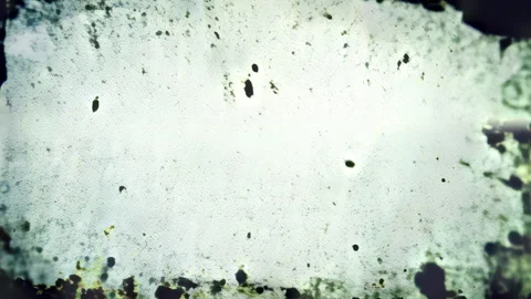 Minimal Textured Grunge Texture Background Stock Footage 295966750