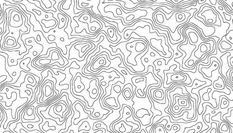 Minimal topographic thin line texture on white background. イラスト素材