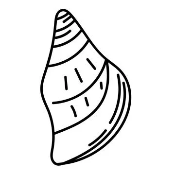 Minimal vector contour drawing of a seashell in elegant line art style. Stock Illustration