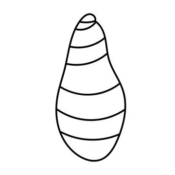 Minimal vector contour drawing of a seashell in elegant line art style. Stockillustratie