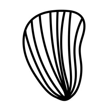 Minimal vector contour drawing of a seashell in elegant line art style. Illustrazione stock