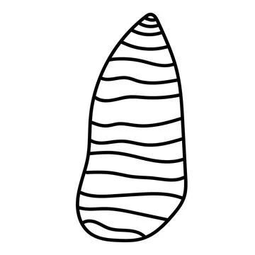 Minimal vector contour drawing of a seashell in elegant line art style. Illustrazione stock