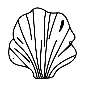 Minimal vector contour drawing of a seashell in elegant line art style. Illustrazione stock