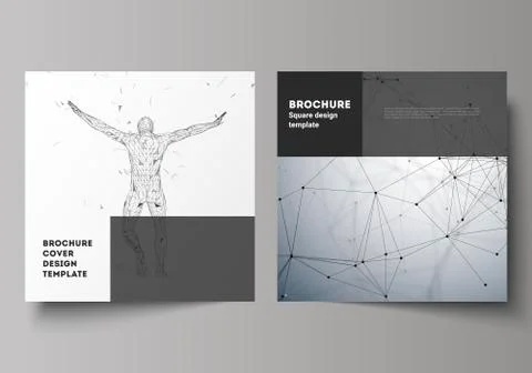 The minimal vector illustration of editable layout of two square format covers Stockillustratie
