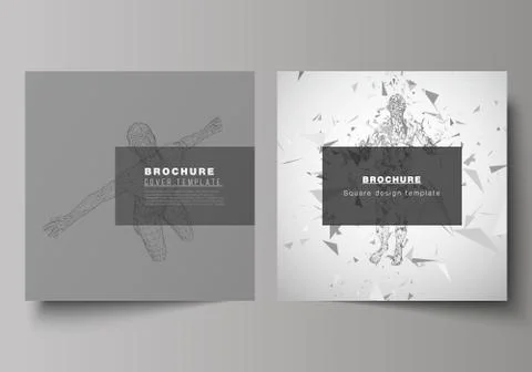 The minimal vector illustration of editable layout of two square format covers Stockillustratie
