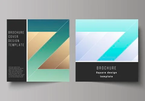 The minimal vector illustration of editable layout of two square format covers Stock Illustration