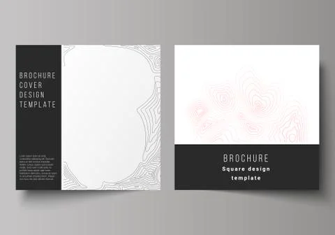 The minimal vector illustration of editable layout of two square format covers Stock Illustration