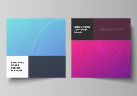 The minimal vector illustration of editable layout of two square format covers Stock Illustration