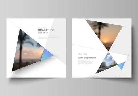 The minimal vector layout of two square format covers design templates for Stock Illustration