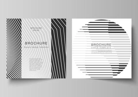 The minimal vector layout of two square format covers design templates for Stock Illustration