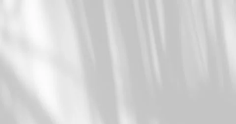 Minimal white background with soft natural leaf shadows. Elegant abstract t.. Stock Footage 341690018