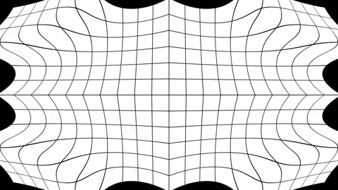 Minimal white mesh grid warp fluid geometric tech loop background Stock-Footage 333720722