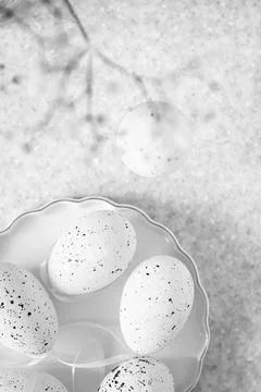 Minimal white speckled Easter eggs on a ceramic plate with soft textured Stock Photos