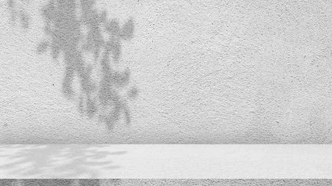 Minimal white wall with leaf shadow background Foto stock