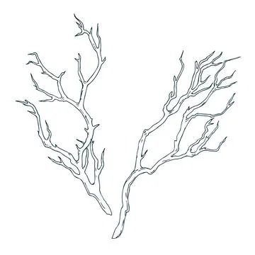 Minimal winter clip art with bare tree branches. Monochrome hand drawn Stock Illustration