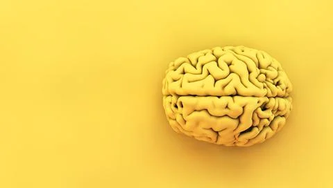 Minimal yellow brain Stock Illustration