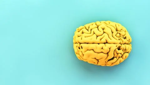 Minimal yellow brain Stock Illustration