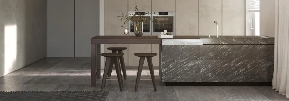 Minimalism modern interior design. Studio kitchen room with kitchen island and Stock Illustration