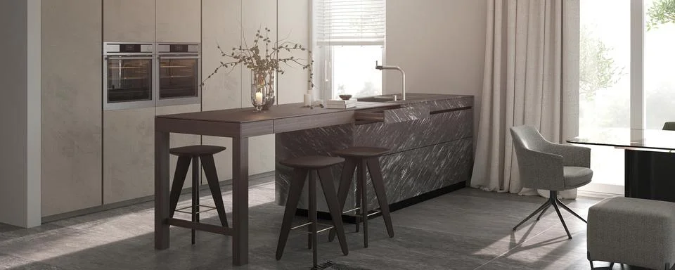 Minimalism modern interior design. Studio kitchen room with kitchen island and Stock Illustration