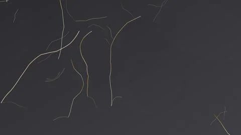 Minimalist abstract crack pattern on dark background with subtle lighting e.. Stock Illustration
