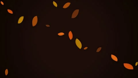 Minimalist abstract pattern of vibrant floating autumn leaves on black Stock Footage 339618613