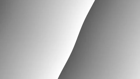 Minimalist Abstract Shapes Creating Subtle Grayscale Curves in Modern Desig.. Stock-Footage 330120629