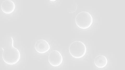 Minimalist abstract white liquid blobs 스톡 동영상 334949063