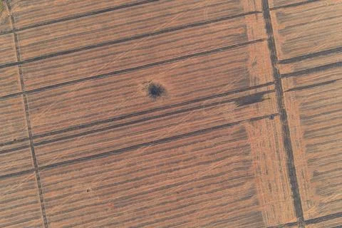Minimalist aerial view of a single shell explosion crater in the center of a Stockfoto's