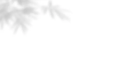Minimalist aesthetic leaf shadow overlay on clean white wall background. Stock Footage 340880059