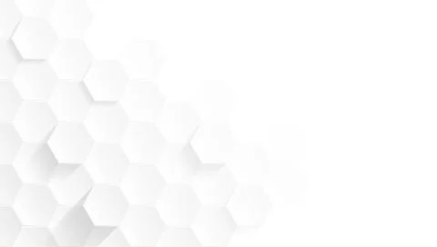 Minimalist and Modern Future Hexagon Abstract Geometric White and Gray Color  Stock Illustration