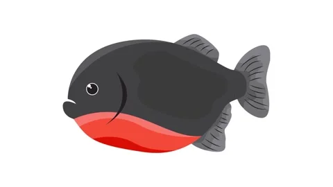 Minimalist Animated Fish Icon Graphic for Aquatic Theme Mobile App and Web UI Stock Footage 345931032