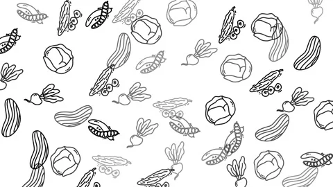Minimalist Animated Pattern of Hand Drawn Vegetables Falling on White Backg.. Stock Footage 320472717
