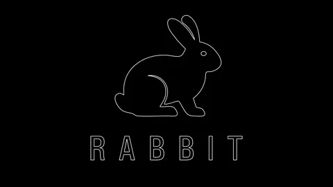 Minimalist animated rabbit logo appearing on black background Stock Footage 317234696