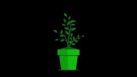 Minimalist animation of a small terracotta pot with soil and a tiny sprout .. Vídeos de archivo 333924341
