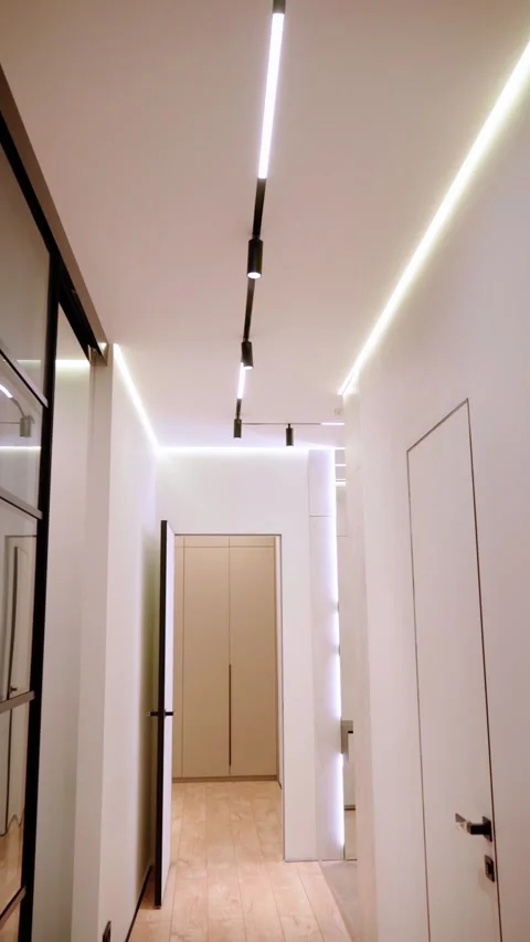 Minimalist Apartment Hallway with Continuous LED Lines 動画素材 342861504