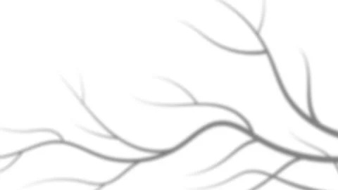 Minimalist Autumn Tree Branch Shadow Overlay on White Wall Background. Stock Footage 343842824