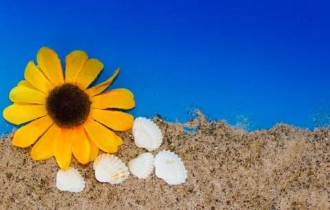 Minimalist background representing the summer with snails clams goggles and s Stock Photos