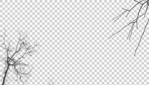 Minimalist bare tree branches isolated on transparent background asset Stock Illustration