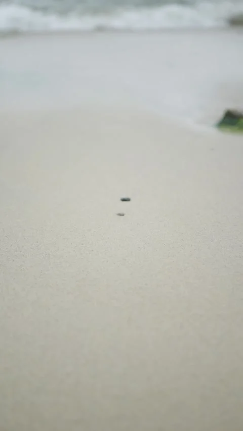 Minimalist beach scene featuring smooth sand... Stock Footage 317703037