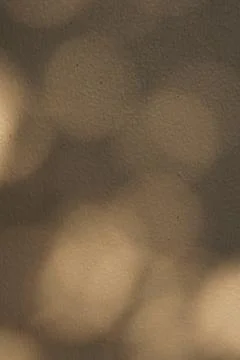 Minimalist Beige Wall Texture with Soft Organic Leaf Shadows for Aesthetic .. 库存照片