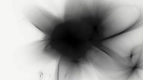 Minimalist Black Ink Bloom and Smokey Fluid Waves Morphing on White Backgrou 動画素材 345962195