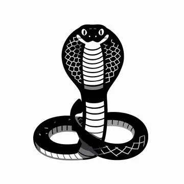 Minimalist Black Mamba Snake Vector Illustration, Coiled Infinity Loop Serp.. 库存插图