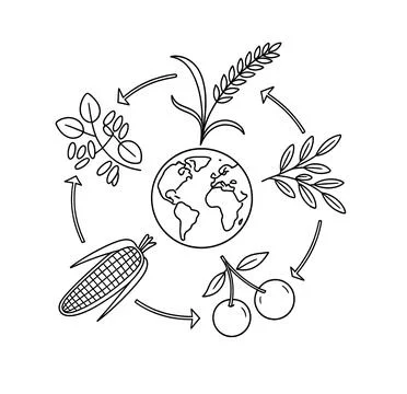 Minimalist black outline vector diagram of 5 stage sustainable farming crop cycl Stock Illustration