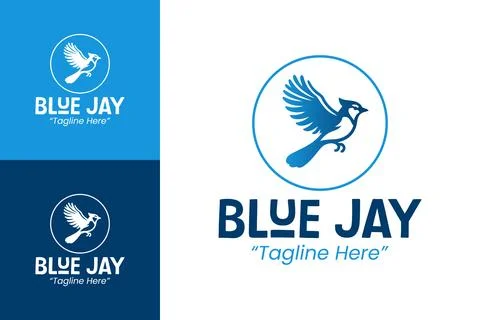 Minimalist Blue Jay Logos for Digital Platforms 스톡 일러스트