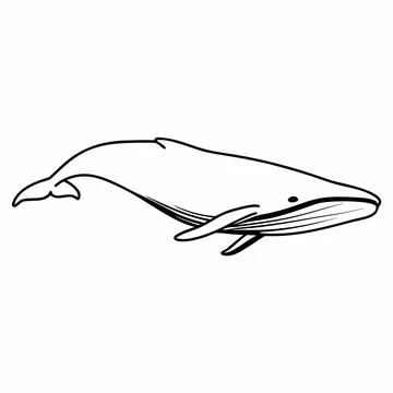 Minimalist Blue Whale Ocean Vector Stock Illustration