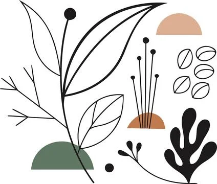Minimalist botanical art vector, line drawn natural elements, abstract natu.. Illustrazione stock