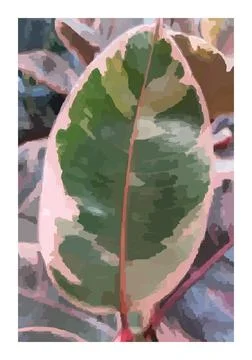 Minimalist botanical composition with leaf texture abstract collage Stock Photos